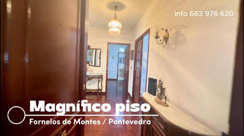 Foto dd182c1d-5aa1-4a5b-9ba9-095c104d485f. Pis a Fornelos de Montes