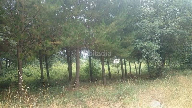 Foto 41c766cb-f891-41c2-95cc-db880652ac51. Terreno residenziale in Outeiro de Rei