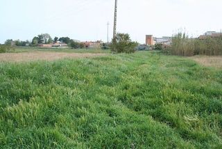 Terreno residencial en Benavent de Segrià. Terreno residencial