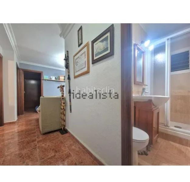 Foto 496cb64d-69a5-4118-b3d2-1f05f24ee88f. Pis a San Pablo Sevilla