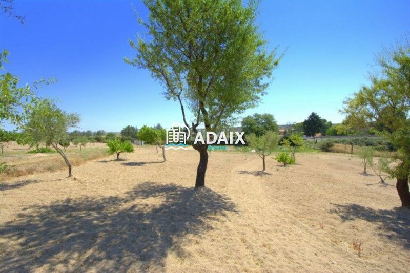 Foto c5dfc7fb-7591-4300-b096-4dc2f3ad9ff4. Casa amb aparcament piscina a Casar de Cáceres