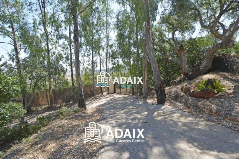 Foto 3ff39a13-f8de-4167-8d1c-fabda6c700ac. Maison avec piscine dans Campus Universitario Cáceres