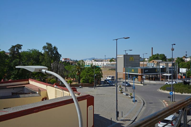 Foto dbe17db3-2138-4349-b7c8-bf4da0b467c6. Pis a Almendralejo