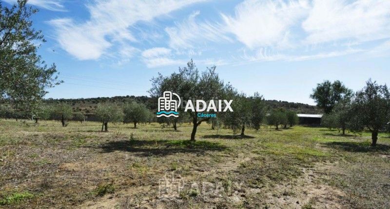 Foto c2669150-89f4-4fea-bcb5-547688c2057c. Xalet amb aparcament piscina a Montesol - Mejostilla Cáceres