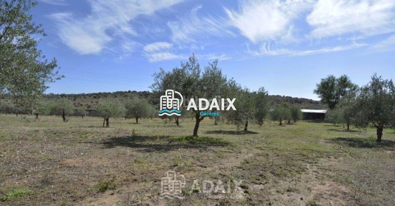 Foto c5d9f5ec-4d10-4eb3-91fd-602d7ce70a69. Xalet amb aparcament piscina a Montesol - Mejostilla Cáceres