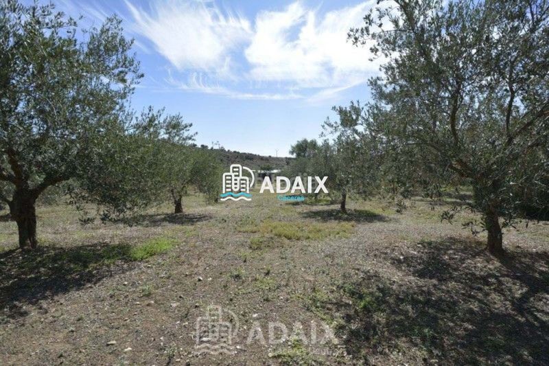 Foto d561e935-e1f7-470d-9130-790b2d6f885f. Xalet amb aparcament piscina a Montesol - Mejostilla Cáceres
