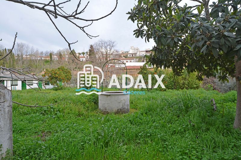 Foto d8b4d557-bdf4-4dff-8d03-edd2c7cf3974. Pis a Casco Antiguo Cáceres