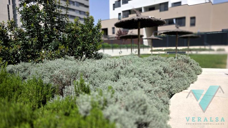 Foto 730e3755-3fe9-4247-8a86-c2e685b8131b. Pis amb calefacció aparcament piscina a El Cañaveral Madrid