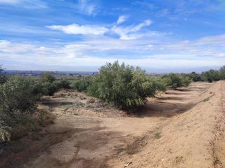 Fondo rustico in Miralcamp