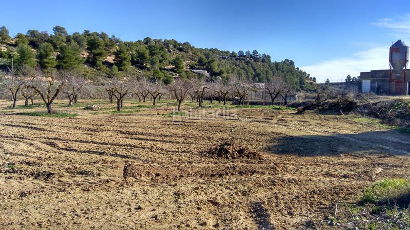 Foto 06e11edf-37d8-426c-8d4a-2ae1bab4278c. Finca rústica a carretera de lleida 29 a Vinaixa