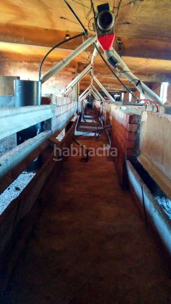 Foto 442a5a62-f786-46b2-90ba-629e28c4a979. Finca rústica a carretera de lleida 29 a Vinaixa