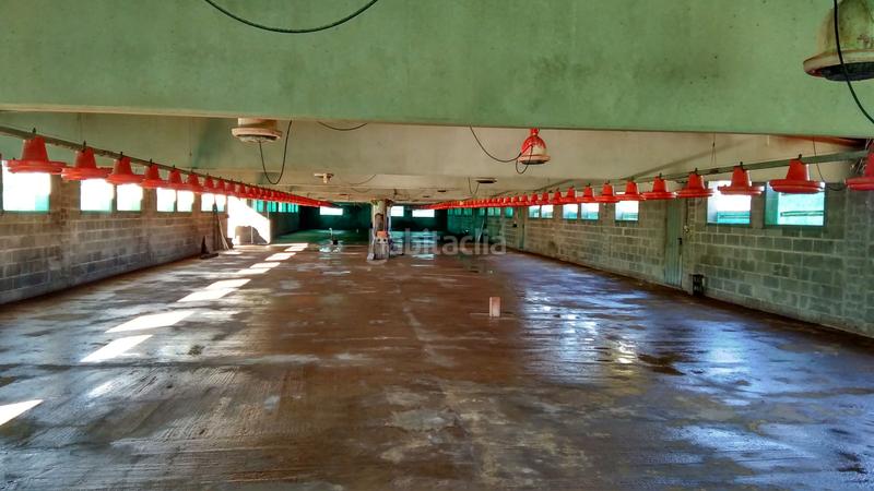 Foto 87b624d2-5946-4bfd-91bc-ae36e1225655. Finca rústica a carretera de lleida 29 a Vinaixa