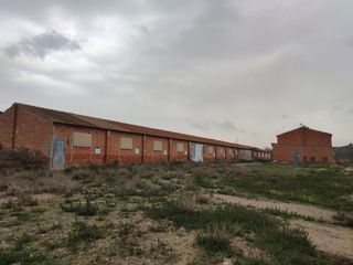 Rural plot in Borges Blanques (Les)