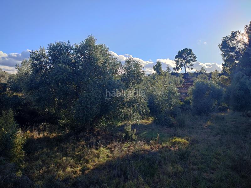 Foto 00f7efe1-4b6b-4966-93b2-357644b7b1b9. Finca rústica a Juncosa