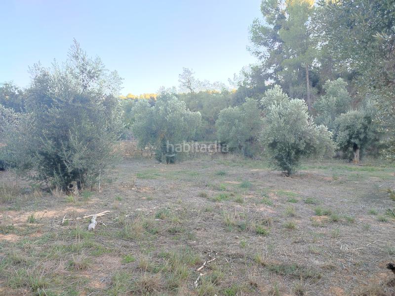 Foto 0be3355c-a6fa-4625-9ffd-e9894ce95ed2. Finca rústica a Juncosa