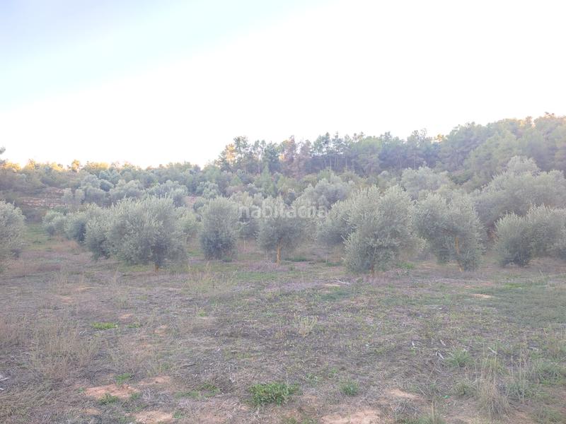 Foto 44a63094-1377-40cd-b337-c6dec25951be. Finca rústica a Juncosa