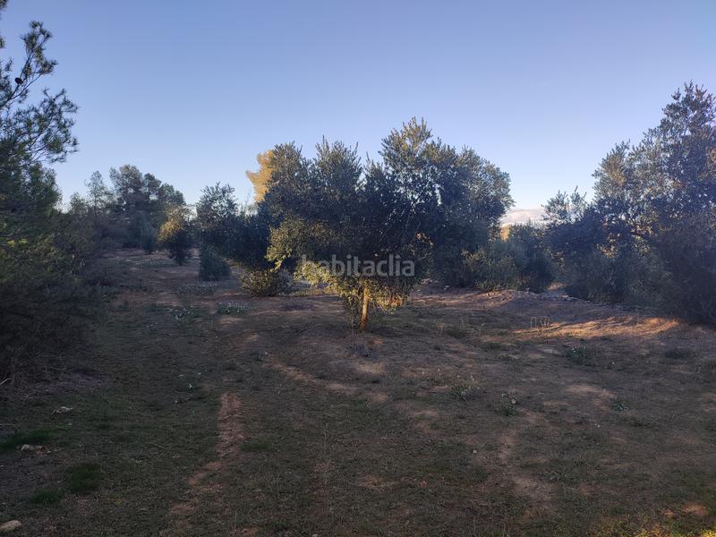 Foto 51d42036-2893-4935-b3bb-393ea9a764be. Finca rústica a Juncosa