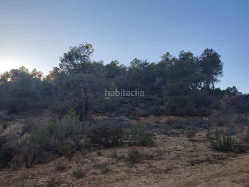 Foto 5a63a37d-7246-4ca6-8242-779fe15c3763. Finca rústica a Juncosa