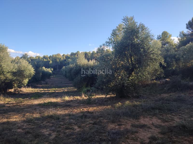 Foto 6ae2c849-138a-4c4c-9999-cbe1cd516a11. Finca rústica a Juncosa