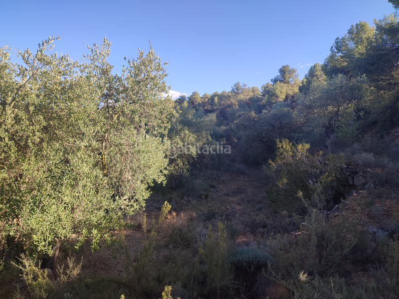 Foto 7b0a0e41-8360-4990-8612-6945314cc9f6. Finca rústica a Juncosa