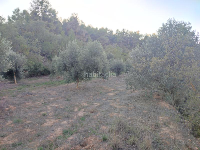 Foto 7cfae19f-7248-42d1-9b1b-32c101d9e508. Finca rústica a Juncosa