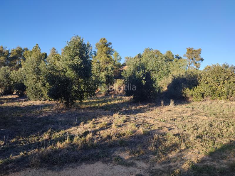 Foto 8442b4f9-c96d-4560-b550-9a310c684547. Finca rústica a Juncosa