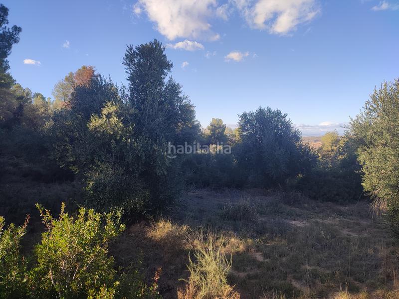 Foto 856db92b-fb64-4b32-912d-b7c946eb08ba. Finca rústica a Juncosa