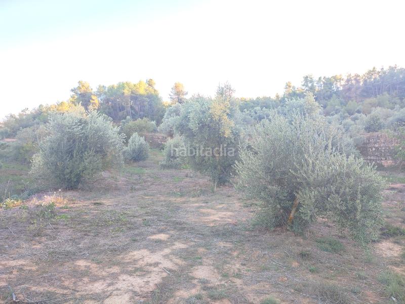 Foto 9773c3dc-a22f-4753-b113-ca760915b202. Finca rústica a Juncosa