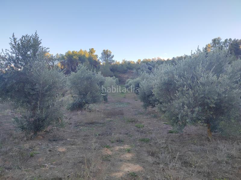 Foto 98dba2b9-c96c-4f0c-ae82-10070d375ae1. Finca rústica a Juncosa