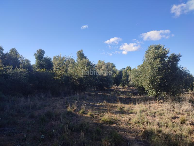 Foto a73019ff-3356-412d-85d5-4496c65e7084. Finca rústica a Juncosa