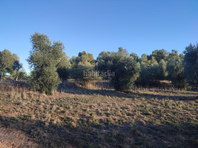 Foto bc4e4556-227e-4983-beeb-fcf51ffac18b. Finca rústica a Juncosa