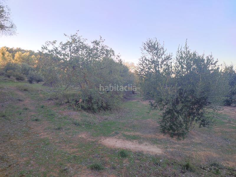 Foto c51858c3-941e-4265-96e5-20e843e6131c. Finca rústica a Juncosa