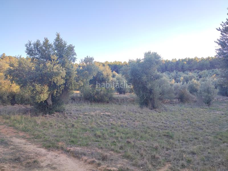 Foto c8f2e6ef-693d-443e-ad81-5256c71cf43f. Finca rústica a Juncosa