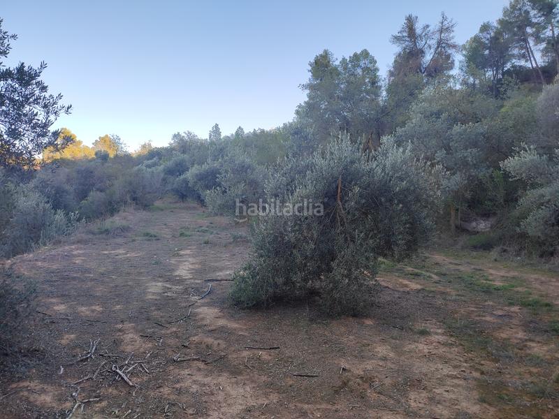 Foto d4d71ff2-4d62-4ea4-b09e-d6138617bf09. Finca rústica a Juncosa
