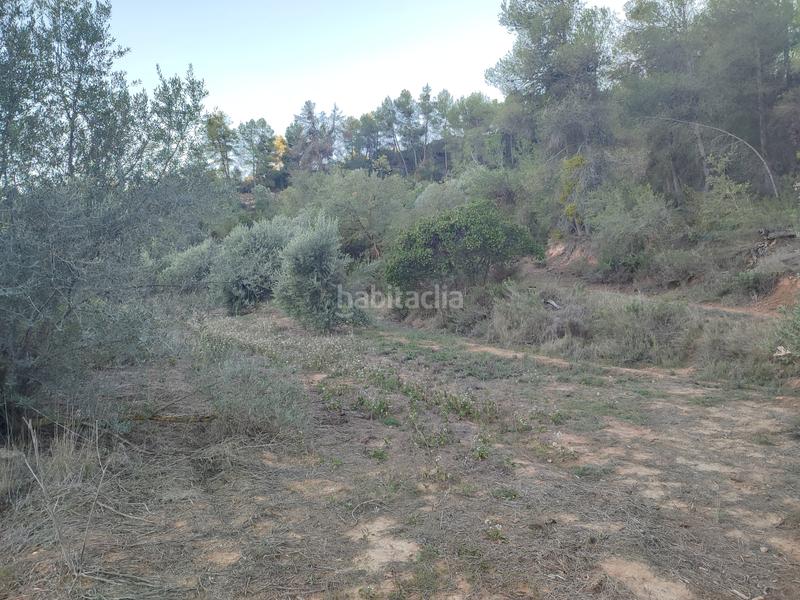 Foto e9b4da42-894f-420c-95a5-045c49ab3695. Finca rústica a Juncosa