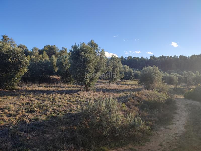 Foto f0dc1d59-932b-4525-a374-a8052a77b901. Finca rústica a Juncosa