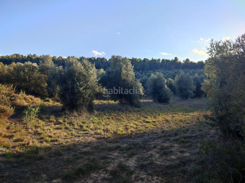 Foto ffe7000d-34c7-4db7-bd76-819252237e43. Finca rústica a Juncosa