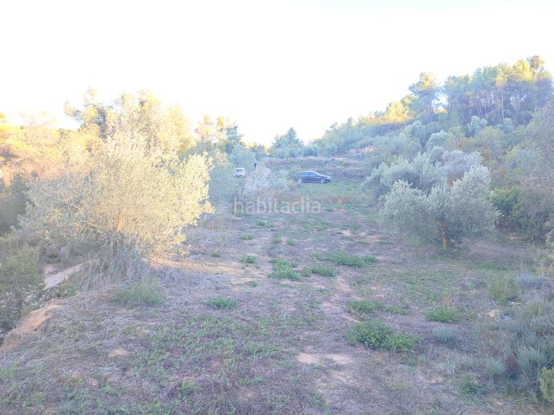 Foto 04e46086-d6c1-4e1c-9a18-35b3b5d4e09c. Fondo rustico in Albagés (L´)