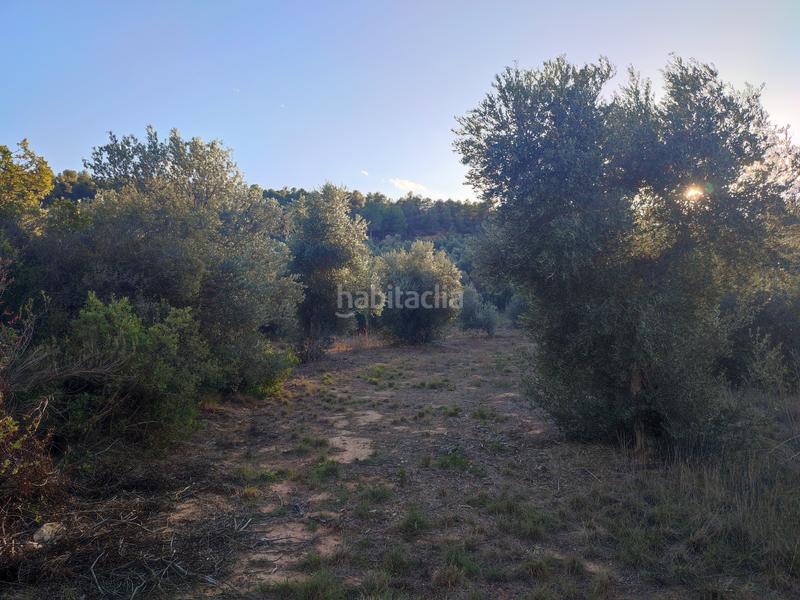 Foto 2824d1e0-ad06-437d-a906-bef89b0efdfb. Fondo rustico in Albagés (L´)