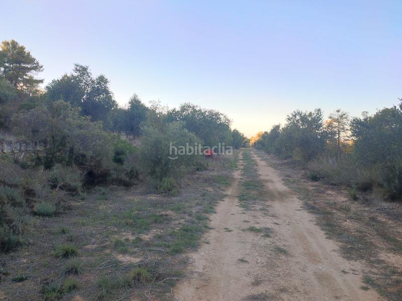 Foto 46bbe95e-7bc7-4ddb-85f6-1c15ca8f1411. Fondo rustico in Albagés (L´)