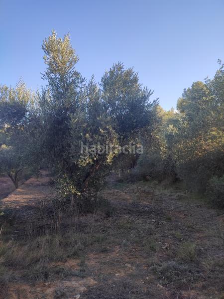 Foto 7ddfa2d6-6b48-429b-9b11-77905e560be0. Fondo rustico in Albagés (L´)