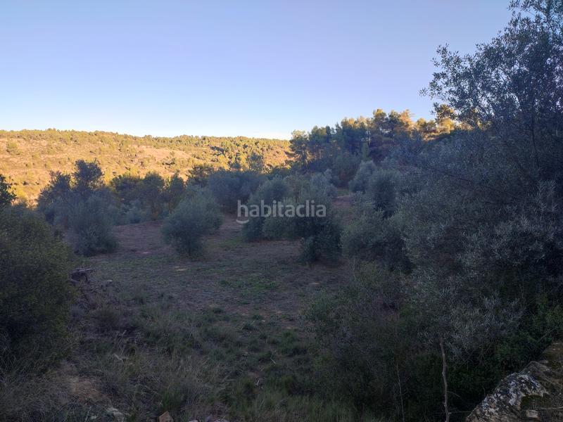 Foto 845299a4-c700-4cdc-a39a-d540ba701ef4. Fondo rustico in Albagés (L´)