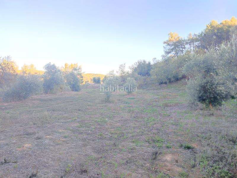 Foto 9adf9629-42d0-4e20-a161-bdff2c13d0f8. Fondo rustico in Albagés (L´)