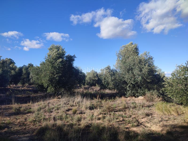 Foto a7652b9a-2f0c-46b3-bf7b-46daf89e734a. Fondo rustico in Albagés (L´)