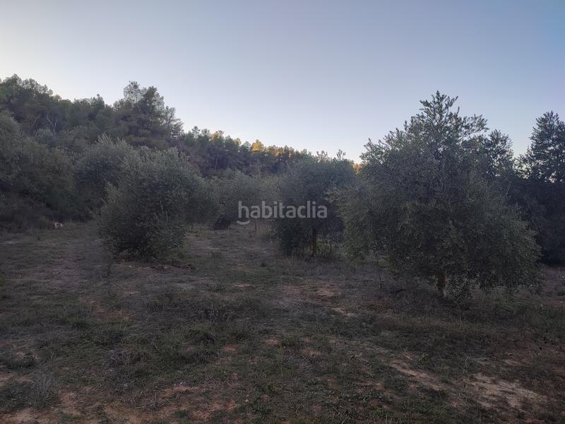 Foto bc5f747a-fb61-48b9-a1c9-3d380cd0ca23. Fondo rustico in Albagés (L´)