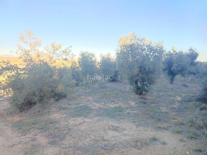 Foto ef4bebe8-5538-485e-9389-f055f2c9db0e. Fondo rustico in Albagés (L´)