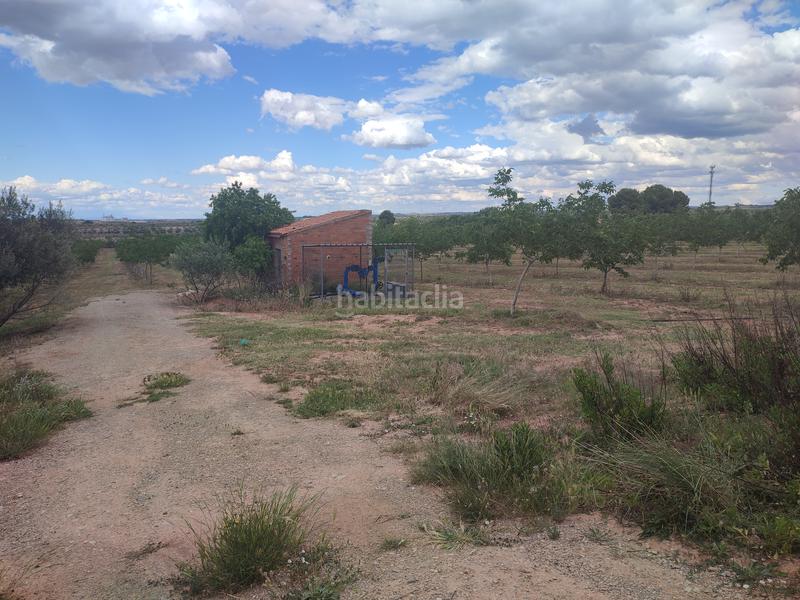 Foto 3fbf72c0-3e1c-48dd-804b-b0ad632ed282. Finca rústica a Borges Blanques (Les)