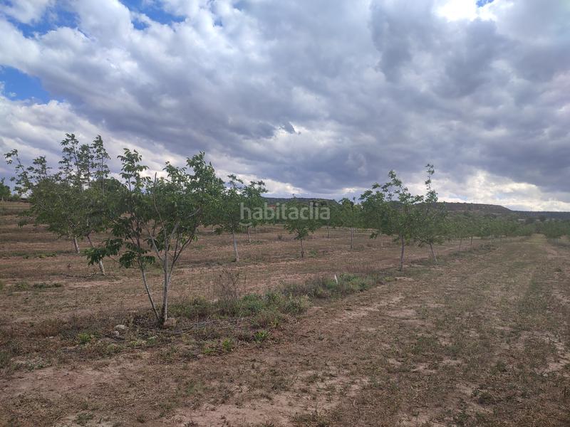 Foto 46a5273e-eba5-4665-91b8-ce37b9e94305. Finca rústica a Borges Blanques (Les)