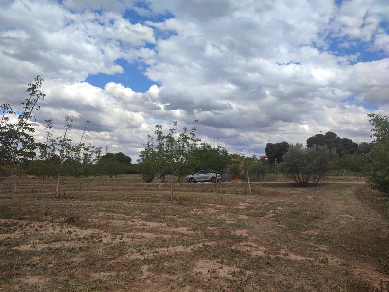 Foto 5eb468b6-7eb3-4d50-a6b6-87b854db3062. Finca rústica a Borges Blanques (Les)