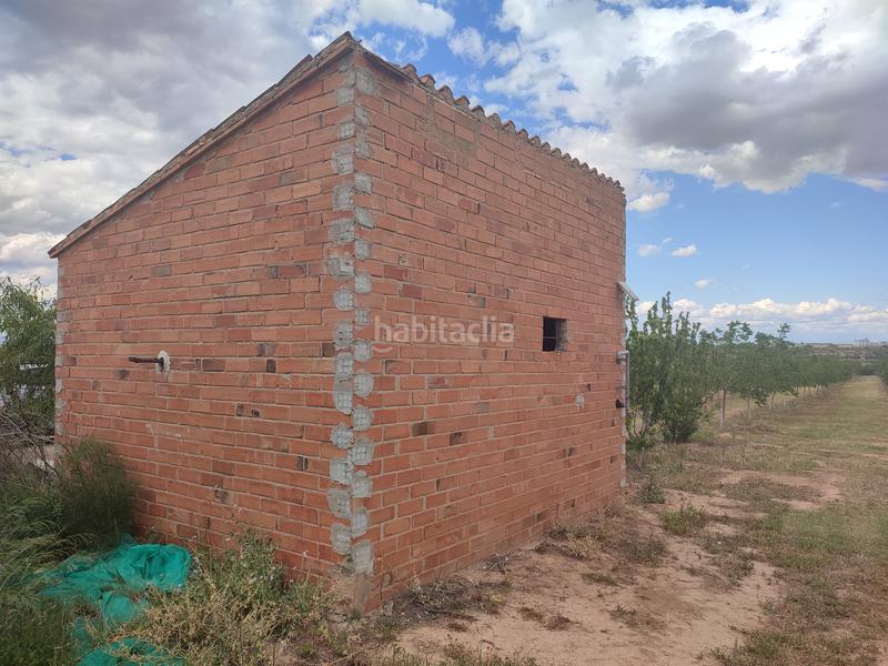 Foto 87fd5026-3873-4762-afbc-465e7efee0e8. Finca rústica a Borges Blanques (Les)